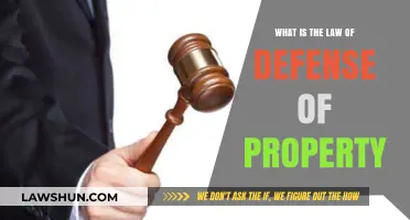 Understanding the Law of Defense of Property: Rights and Limitations