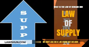 Understanding the Law of Demand and Supply: Economic Fundamentals Explained
