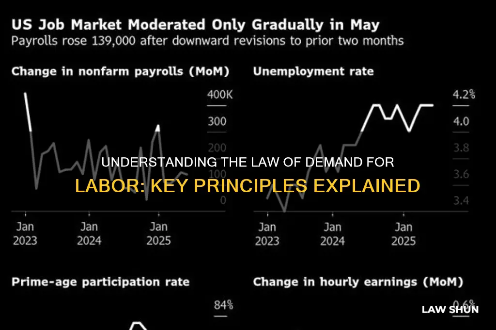 what is the law of demand for labor