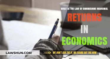 Understanding Diminishing Marginal Returns: A Key Economic Principle Explained