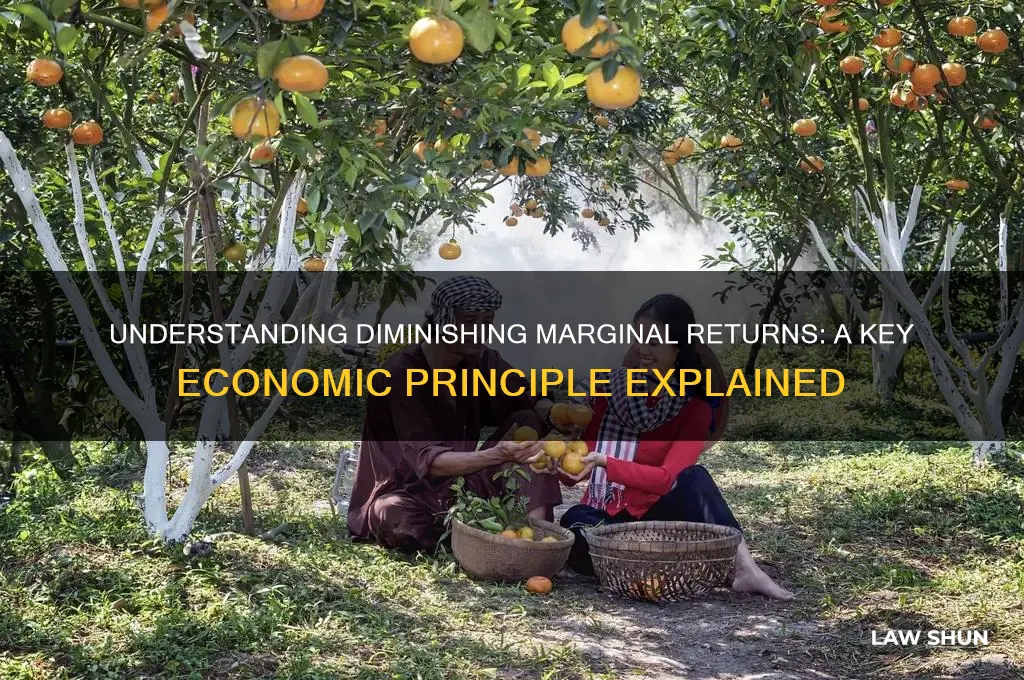 what is the law of diminishing marginal returns in economics