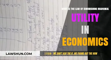 Understanding Diminishing Marginal Utility: A Core Economic Principle Explained
