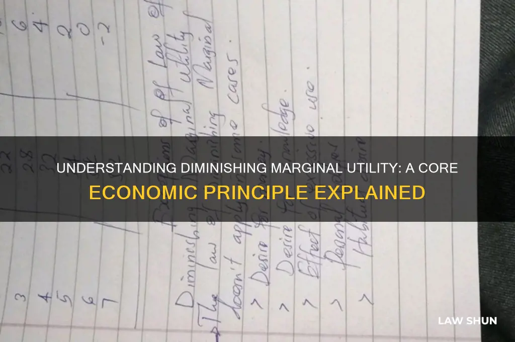 what is the law of diminishing marginal utility in economics