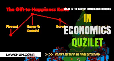 Understanding the Law of Diminishing Returns in Economics