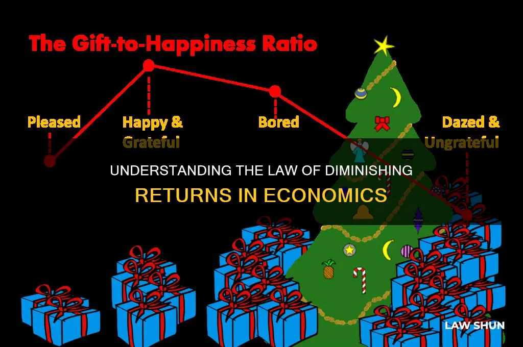 what is the law of diminishing returns in economics quzilet
