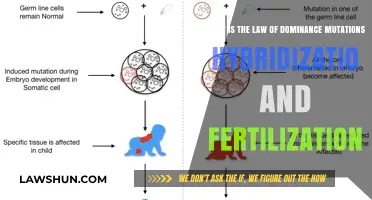 Understanding Dominance, Mutations, Hybridization, and Fertilization in Genetics