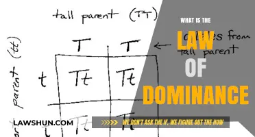 Understanding the Law of Dominance: A Key to Social Dynamics