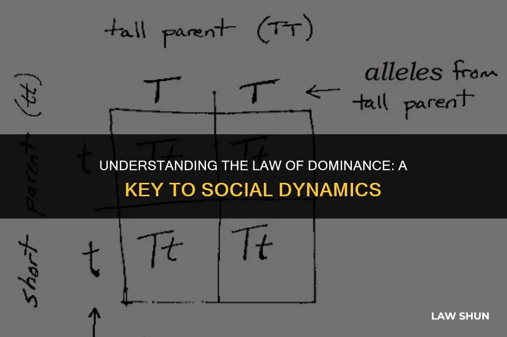 what is the law of dominance