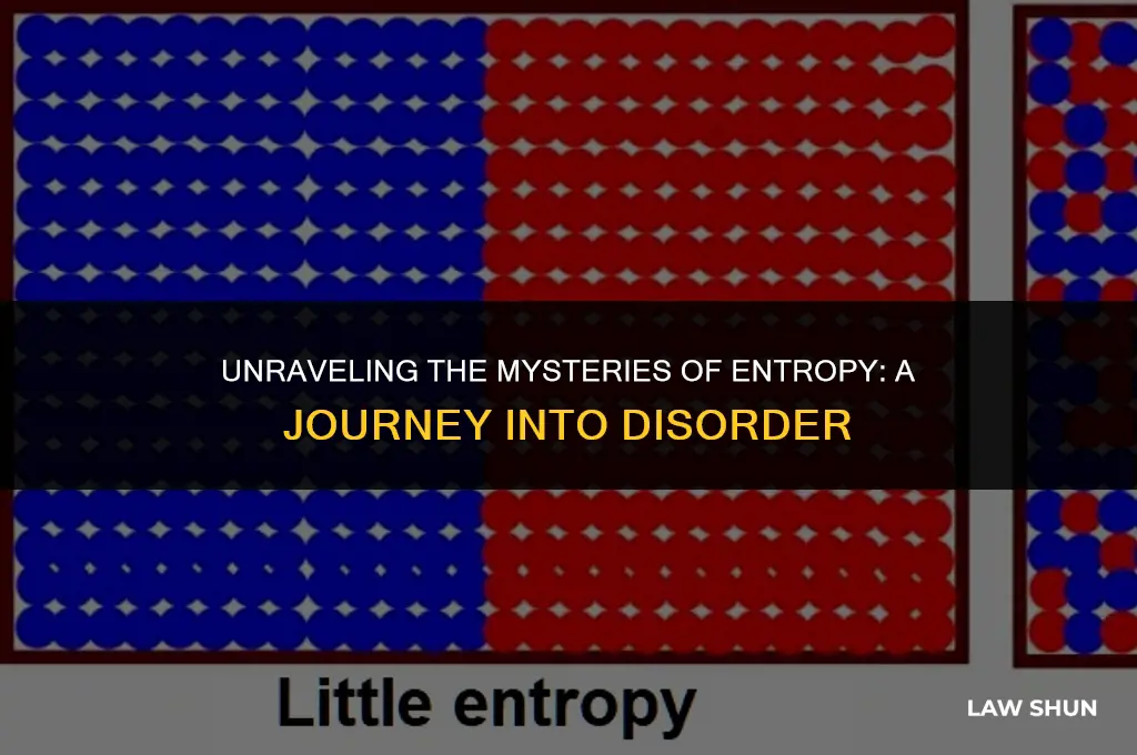 what is the law of entropy