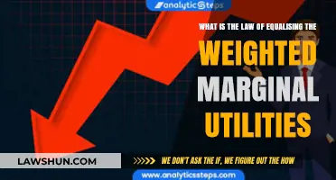 Understanding the Law of Equalizing Weighted Marginal Utilities