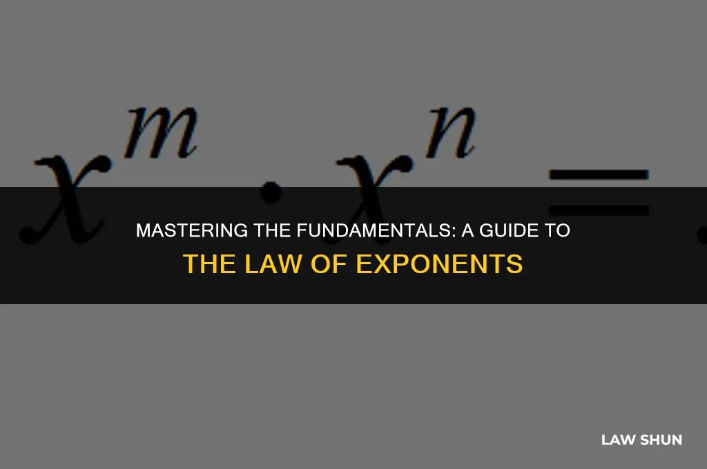 what is the law of exponents