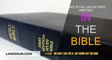 The Law of First Mention: Unlocking Bible Interpretation