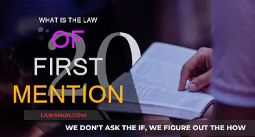 The Significance of the Law of First Mention