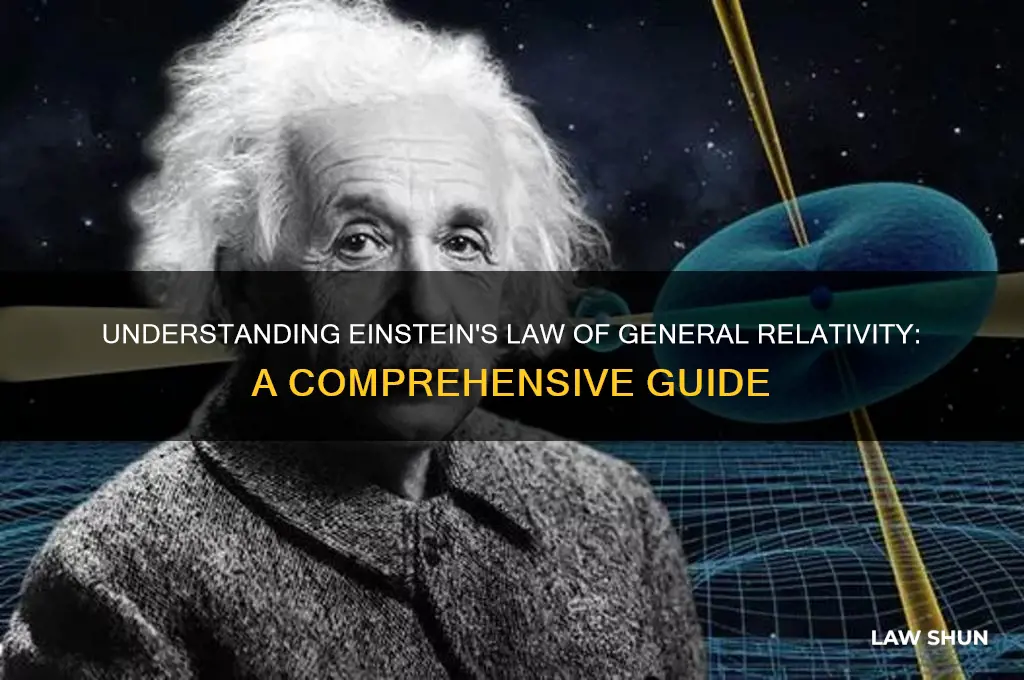 what is the law of general relativity