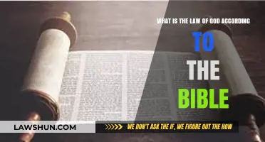 Understanding God's Law: Biblical Principles for Righteous Living Explained