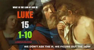 God's Law of Mercy: Exploring Luke 15:1-10