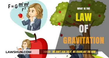 Unraveling the Mysteries of Gravity: A Deep Dive into Newton's Law