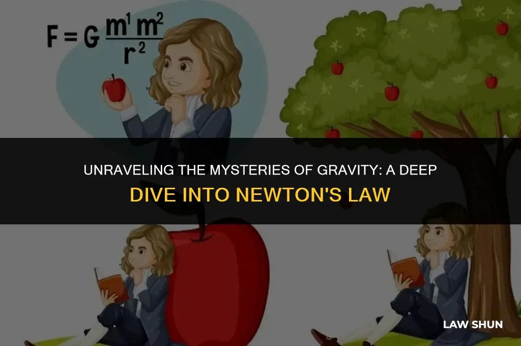 what is the law of gravitation