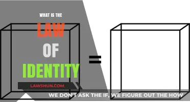 Exploring the Law of Identity: A Philosophical and Legal Perspective