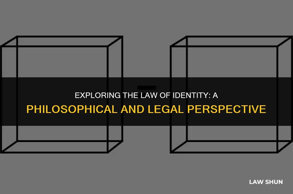 what is the law of identity