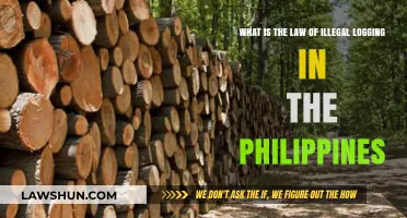Understanding the Philippines' Legal Battle Against Illegal Logging Practices