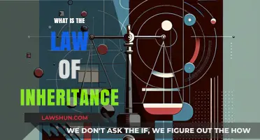 Understanding the Fundamentals of Inheritance Law