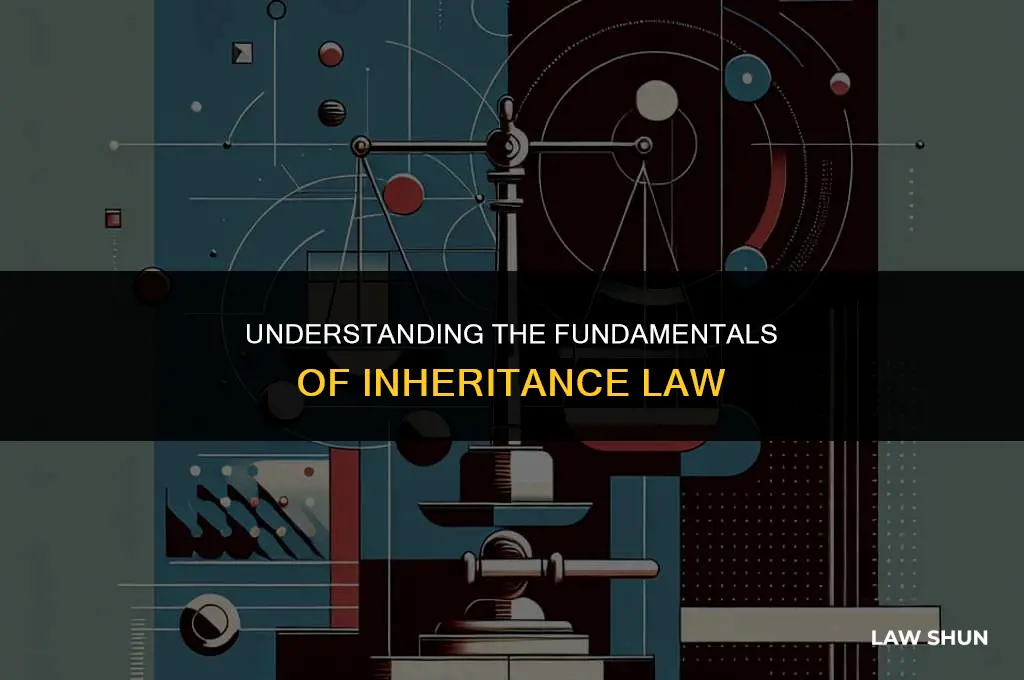 what is the law of inheritance