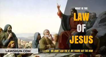 Unveiling the Teachings: A Deep Dive into the Law of Jesus