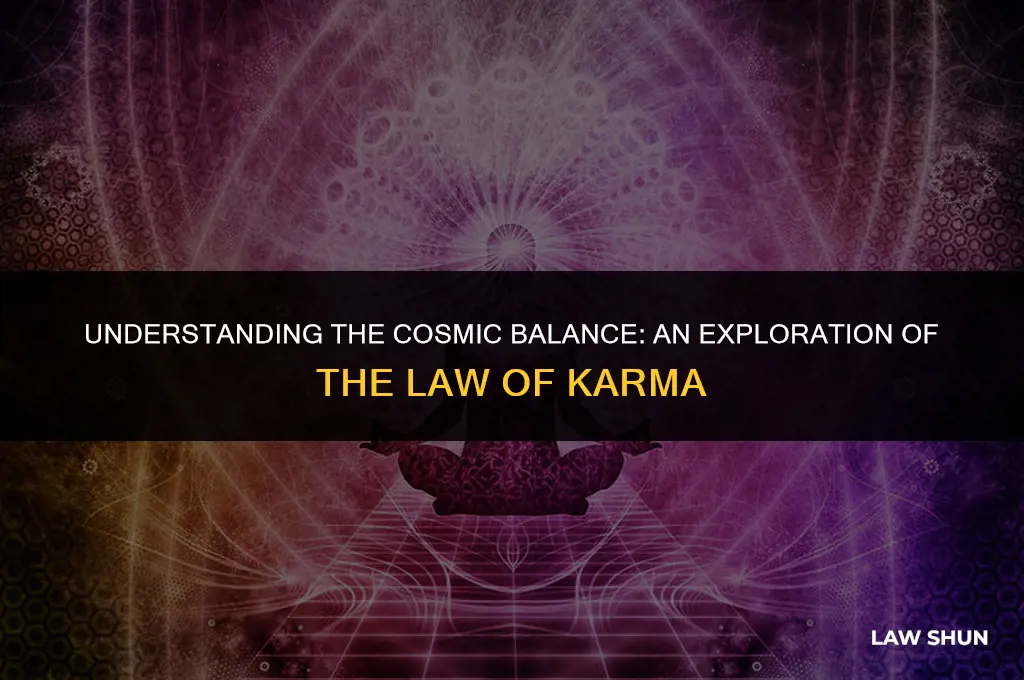 what is the law of karma
