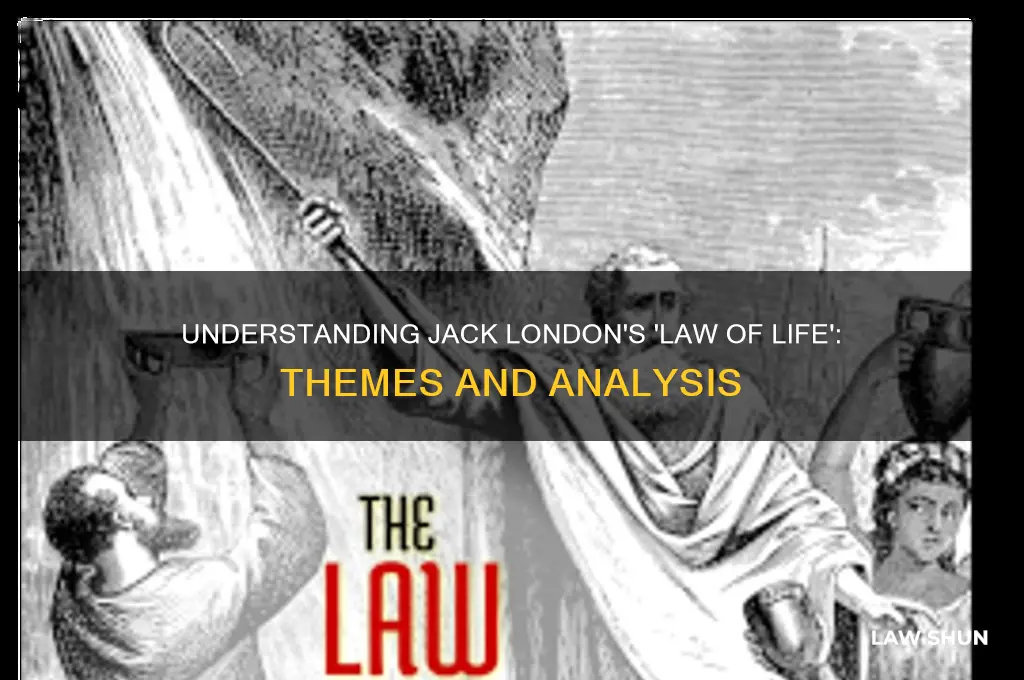 what is the law of life by jack london about