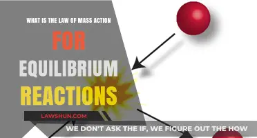 Understanding the Law of Mass Action in Chemical Equilibrium Reactions