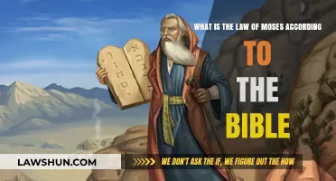 Understanding the Law of Moses: Biblical Origins and Significance Explained