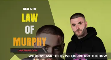 Unraveling Murphy's Law: When Everything That Can Go Wrong, Does