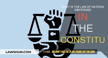The Law of Nations: A Constitutional Perspective