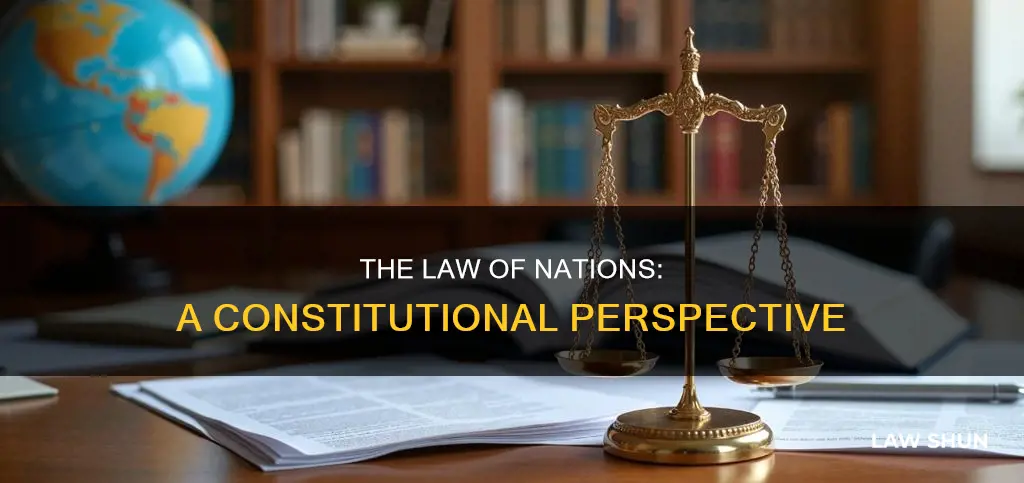 what is the law of nations mentioned in the constitution