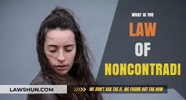 Exploring the Law of Noncontradiction: A Philosophical Deep Dive