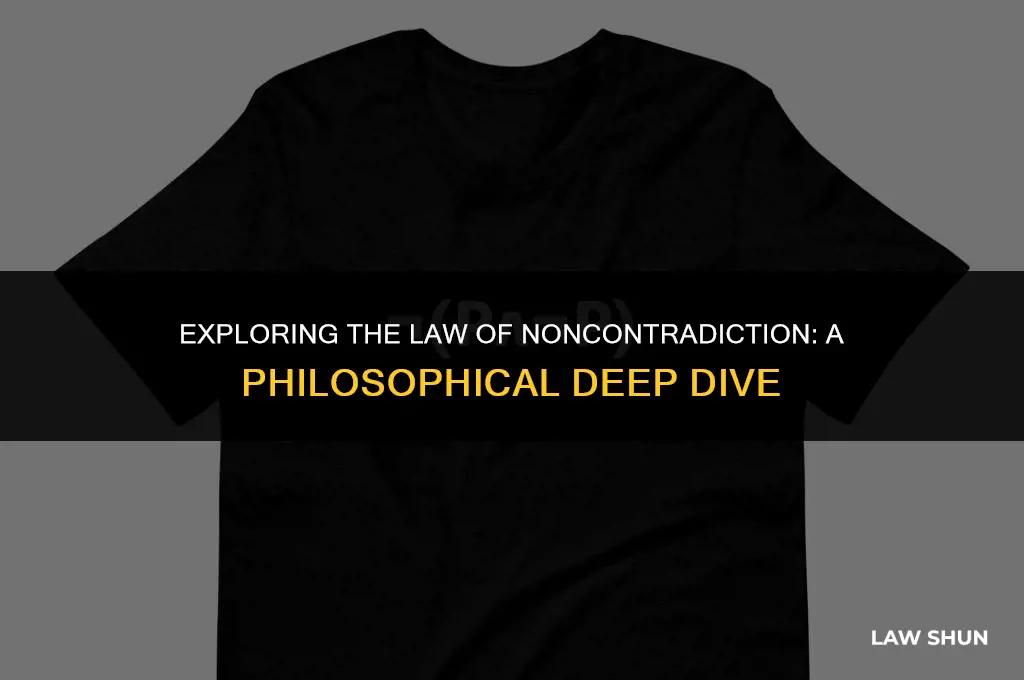 what is the law of noncontradiction