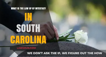 Understanding South Carolina's Intestacy Law: Inheritance Without a Will