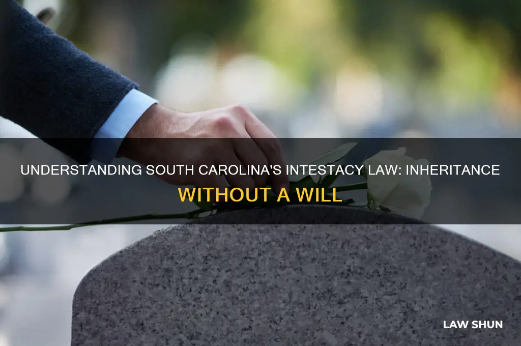 what is the law of of intestacy in south carolina
