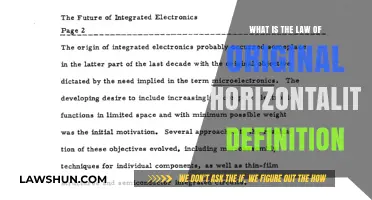 Understanding the Law of Original Horizontality: Definition and Principles