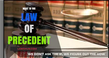 Understanding the Law of Precedent: A Cornerstone of Legal Systems
