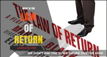 Understanding the Law of Return: A Guide to Karmic Principles