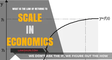 Understanding Returns to Scale: Key Economic Concepts Explained
