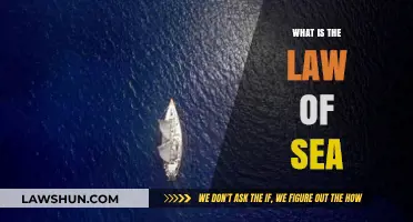 Navigating the Depths: Understanding the Law of the Sea