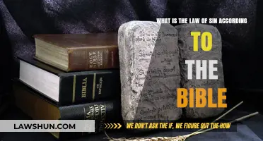 Understanding the Law of Sin: A Biblical Perspective Explained