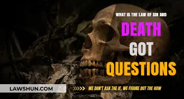 Understanding the Law of Sin and Death: Answering Your Questions