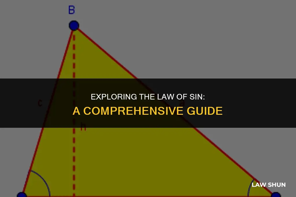 what is the law of sin