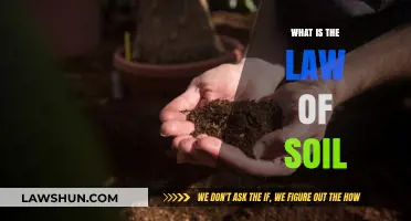 Exploring the Fundamentals: What is the Law of Soil?