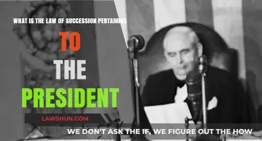 Understanding Presidential Succession Law: Key Rules and Procedures Explained