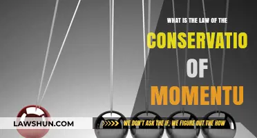 Understanding the Law of Conservation of Momentum: Principles Explained